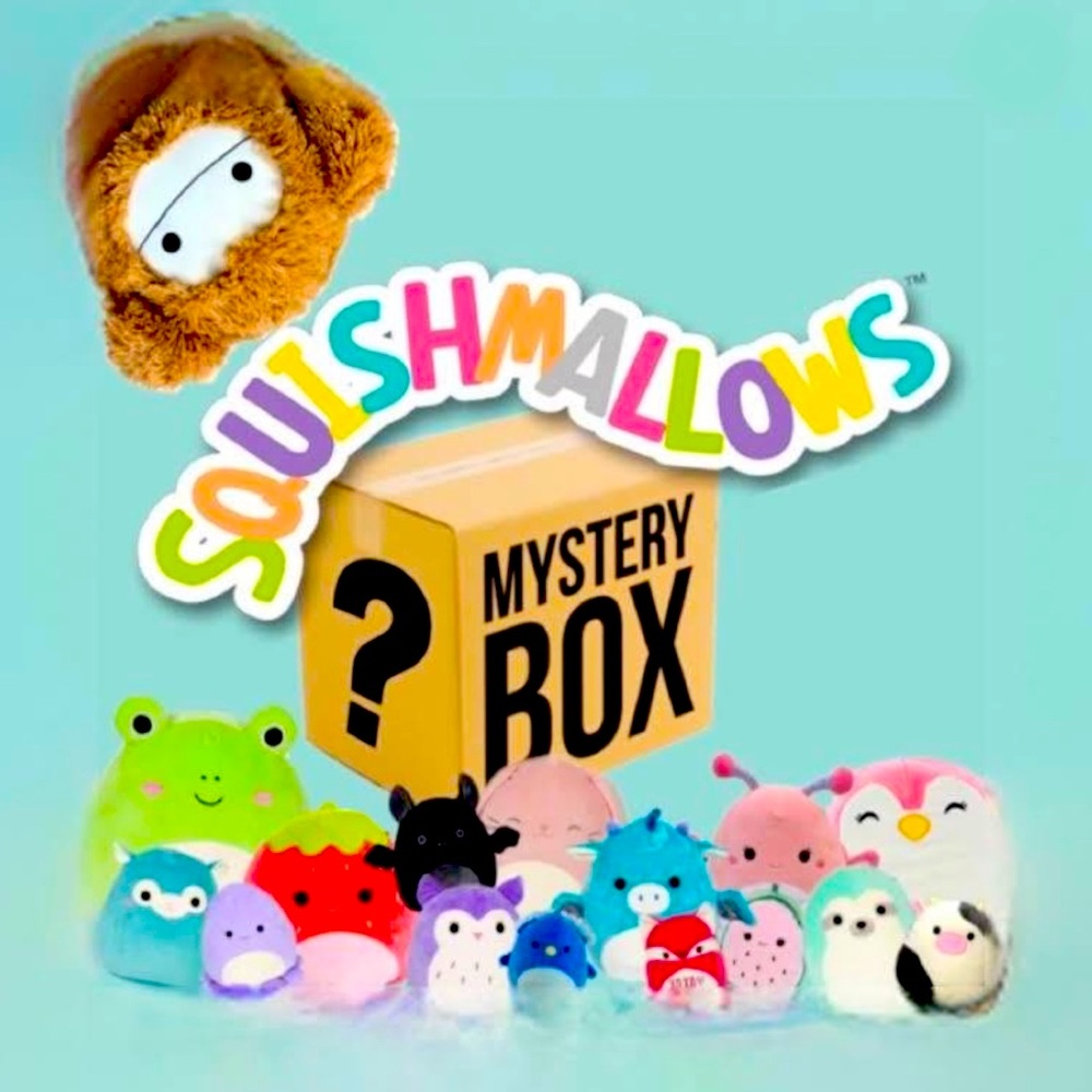 NWT Mystery Squishmallow bungle worth $75+
